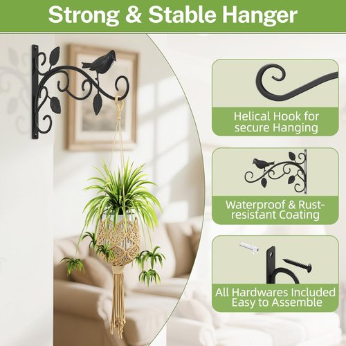 iDavosic.ly Heavy Duty Plant Hangers - 12 Inch Iron Wall Brackets for Outdoor & Indoor Use | Black 2-Pack
