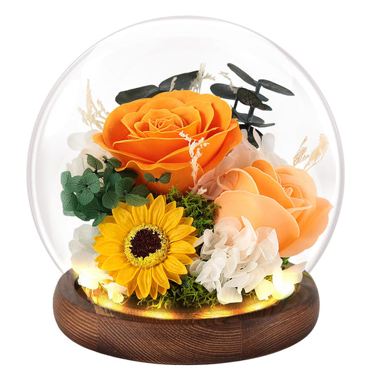 FAYODO Preserved Flowers with Light, Eternal Rose as Gifts for Women Mom Grandma Girlfriend for Birthday Christmas Valentine's Day Mother's Day Anniversary Thanksgiving, Champagne