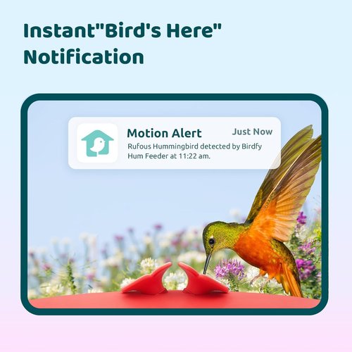 Birdfy Smart Hummingbird Feeder - Solar Powered With Camera, Live View & Auto Record, 14oz, Perfect Gift for Bird Lovers