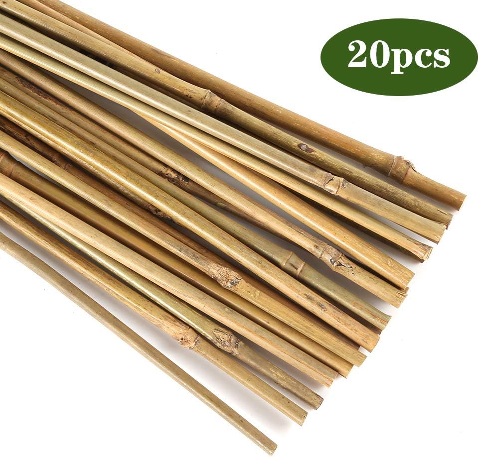 Pllieay Bamboo Garden Stakes - 20PC Natural Plant Support for Indoor/Outdoor Potted Plants | 16 Inch