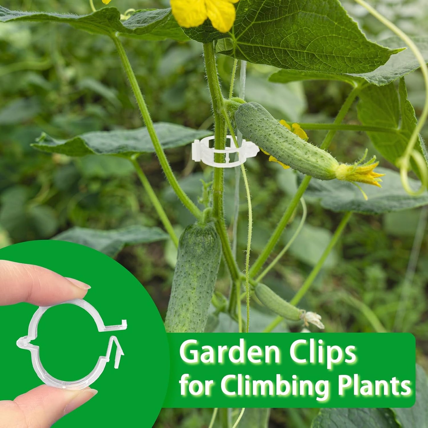 Pynqdfu Plant Support Clips - 400 Pcs Plastic Tomato & Vine Clips for Indoor/Outdoor Gardening (White)
