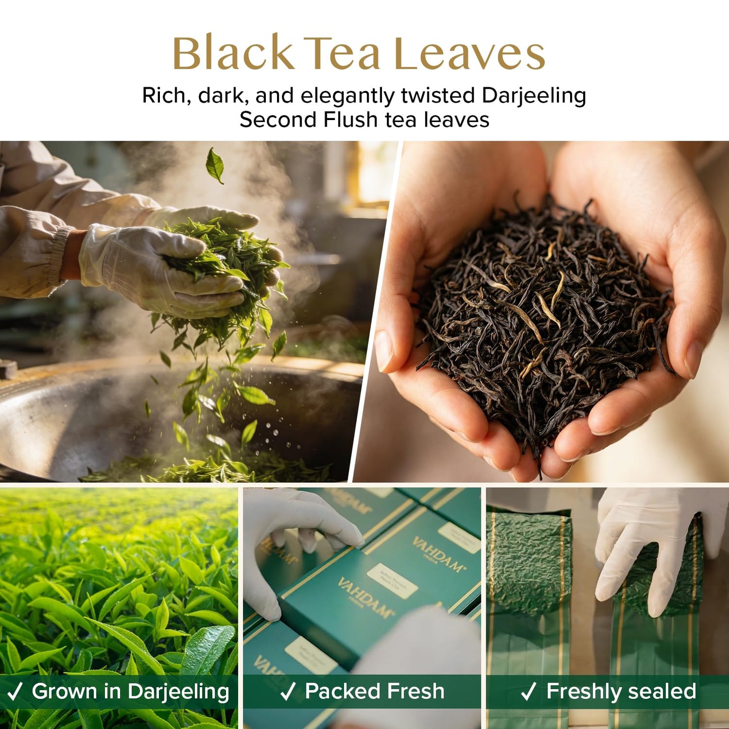 VAHDAM, Darjeeling Tea Leaves From Himalayas 340g (170+ Cups) Pure Unblended Darjeeling Black Loose Leaf Tea | Packed & Shipped Direct From Source In India