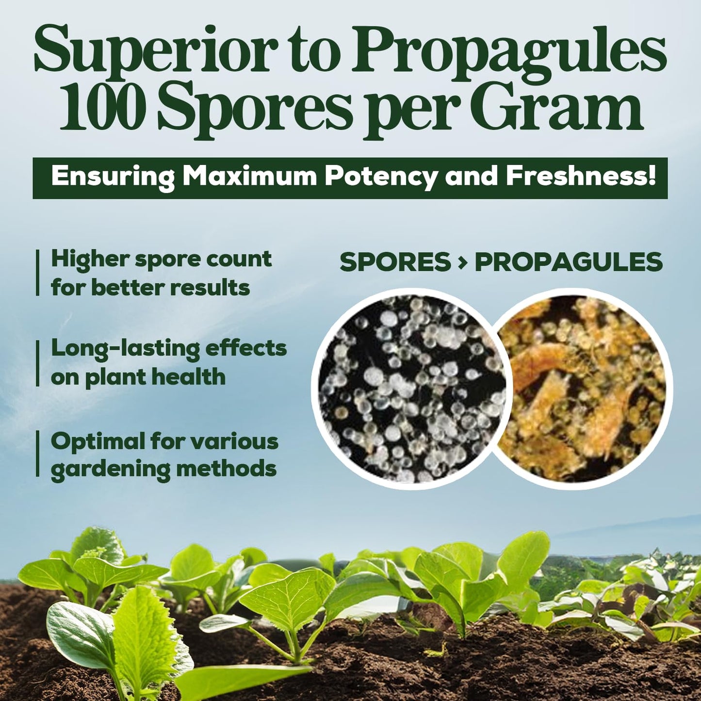 Mycorrhizae Smart Grower | Organic Root Enhancer for Plants - 100 Spores/G, 5-Strain Blend, 125g for 125 Plants