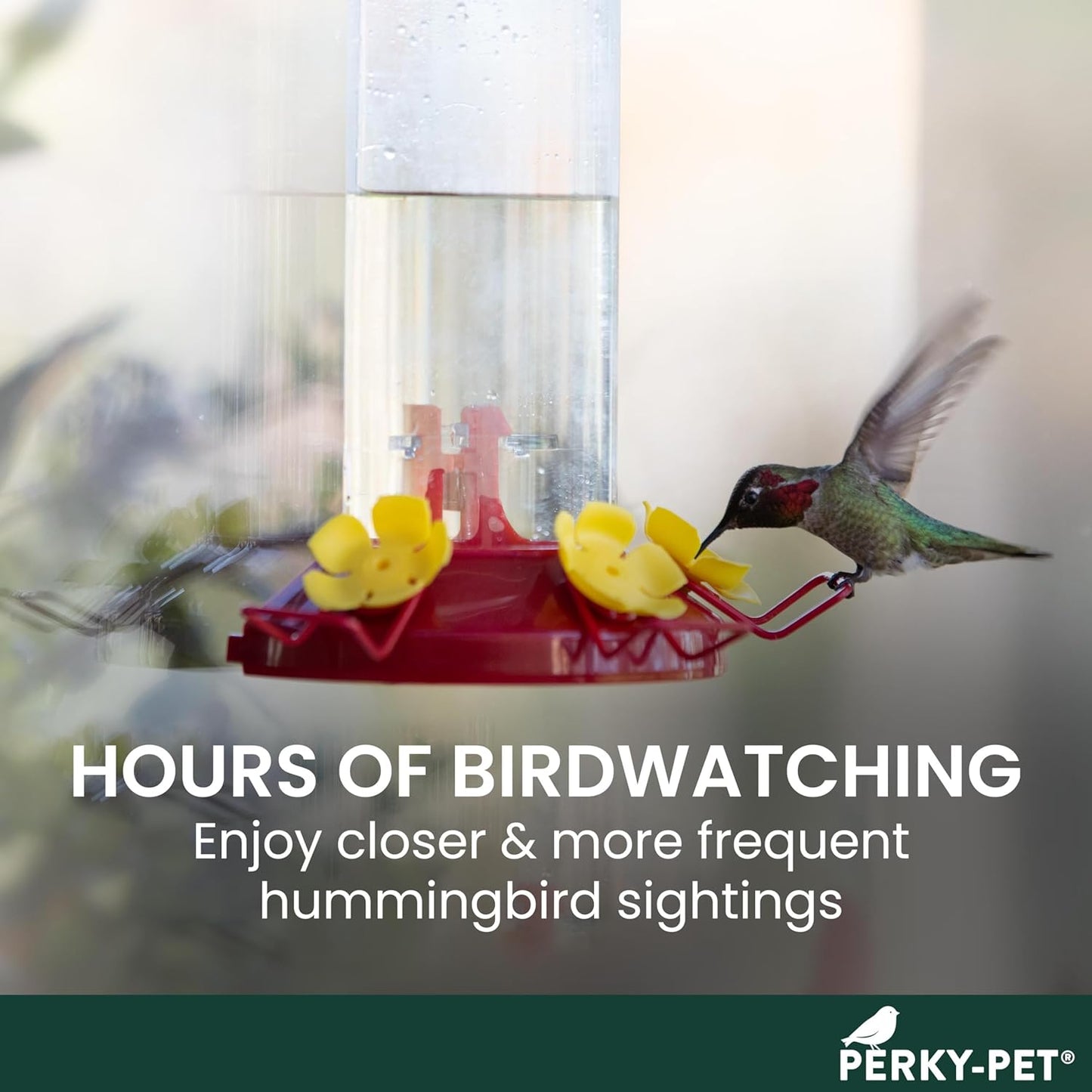 Perky-Pet Hummingbird Feeder - 8 oz Plastic Window Mount with Perches for Outdoor Use