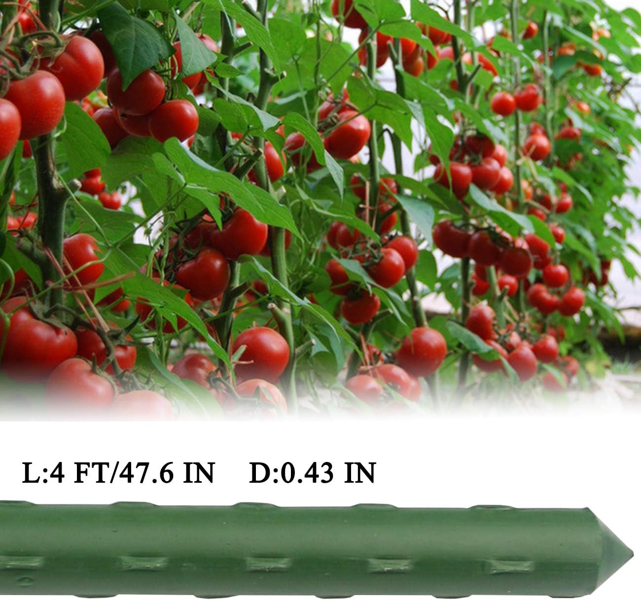 Sunnyglade 25PCS 48” Plant Stakes - Durable Supports for Garden Tomatoes & Potted Plants