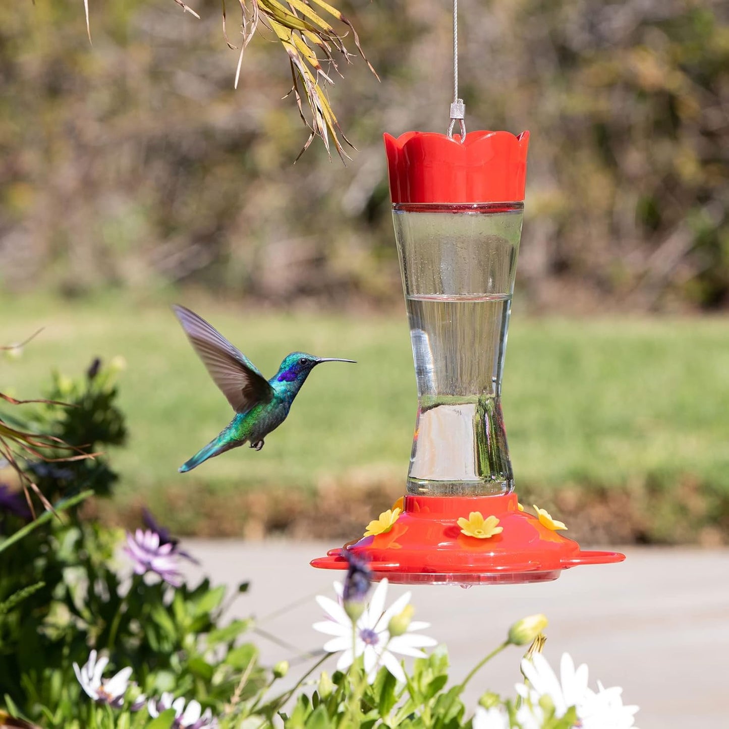 MEKKAPRO Glass Hummingbird Feeder - Ant & Bee Proof Design with 5 Feeding Stations | Bright Red, 10 Ounces