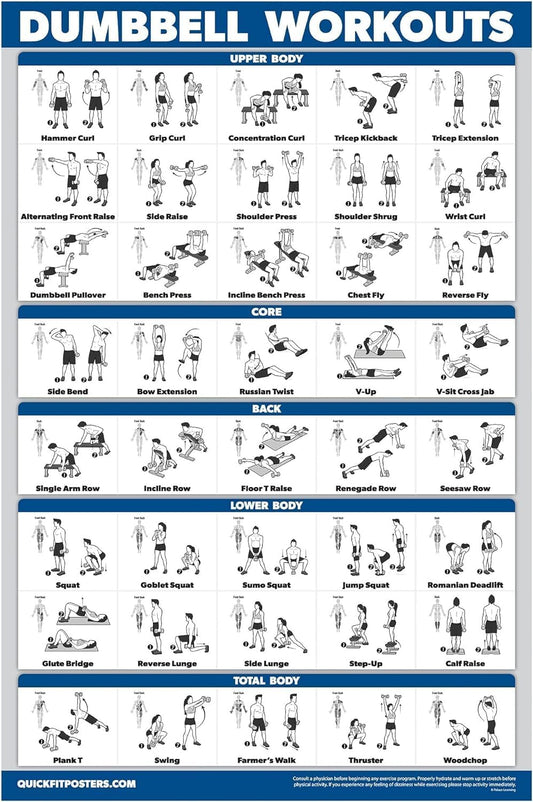Palace Learning Dumbbell Workout Poster - Laminated Home Gym Guide | 18" x 24" Size