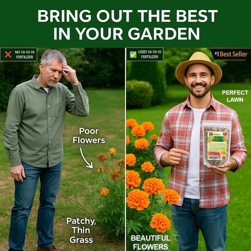 BestSeller 10-10-10 Plant Fertilizer - Slow Release All-Purpose Formula for Trees & Vegetables | 8 OZ
