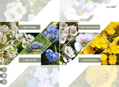 California Wildflower Mix - 7,500 Seeds | 17 Varieties of Non-GMO, Open Pollinated Flowers for Bees & Butterflies