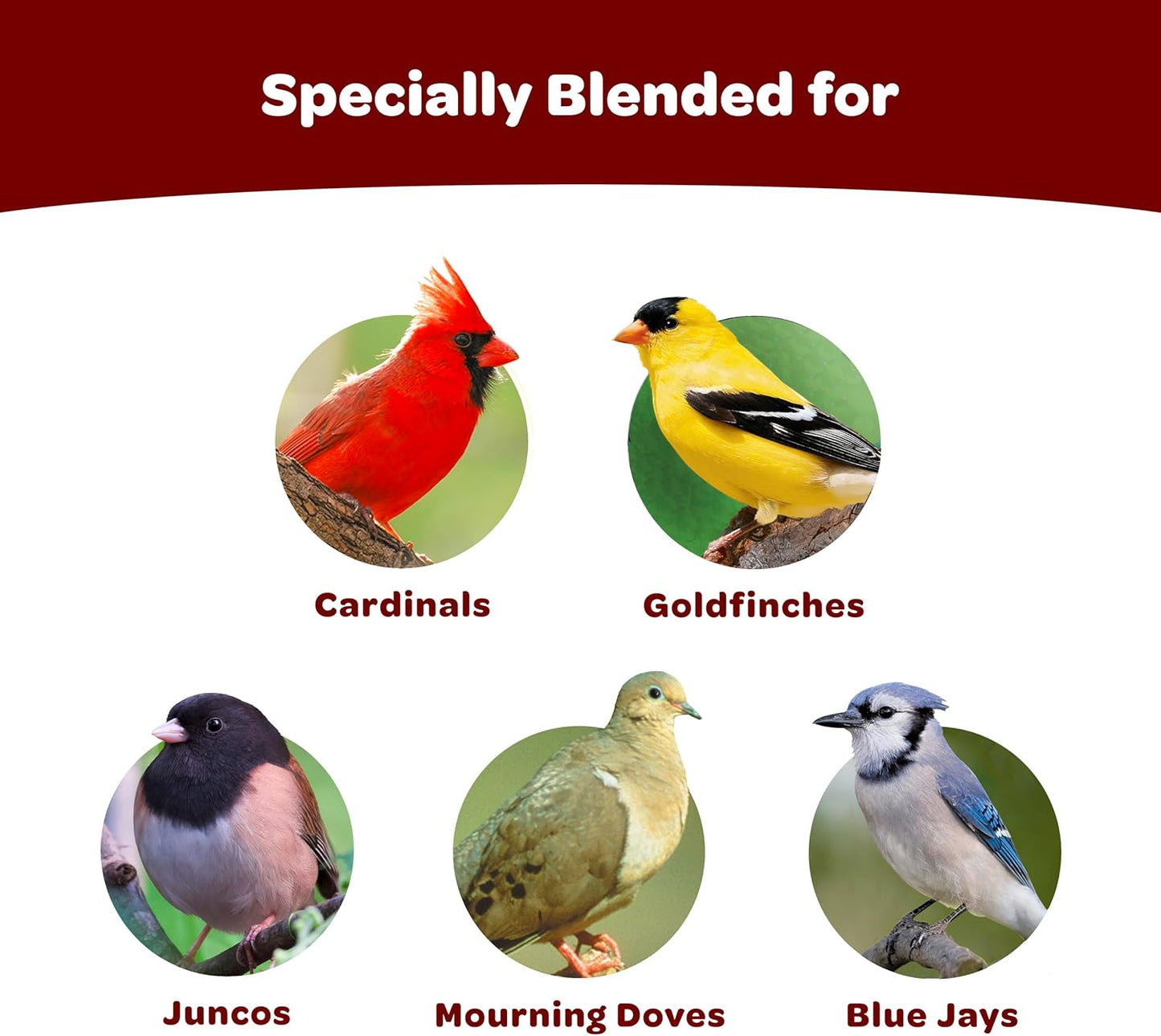 Kaytee Cardinal Seed Cake - Premium Wild Bird Food for Attracting Cardinals - 1.85 Pounds