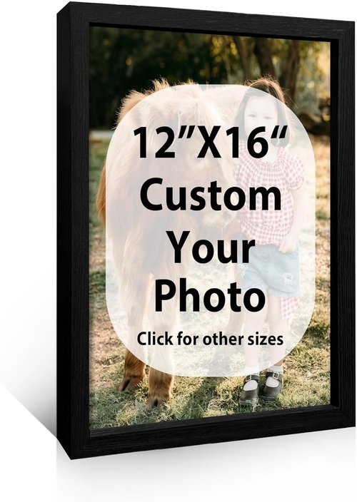 Canvas Prints | Custom Photo Wall Art by Skiennix - Framed Canvas Decor (12x16, Black Wood Frame)