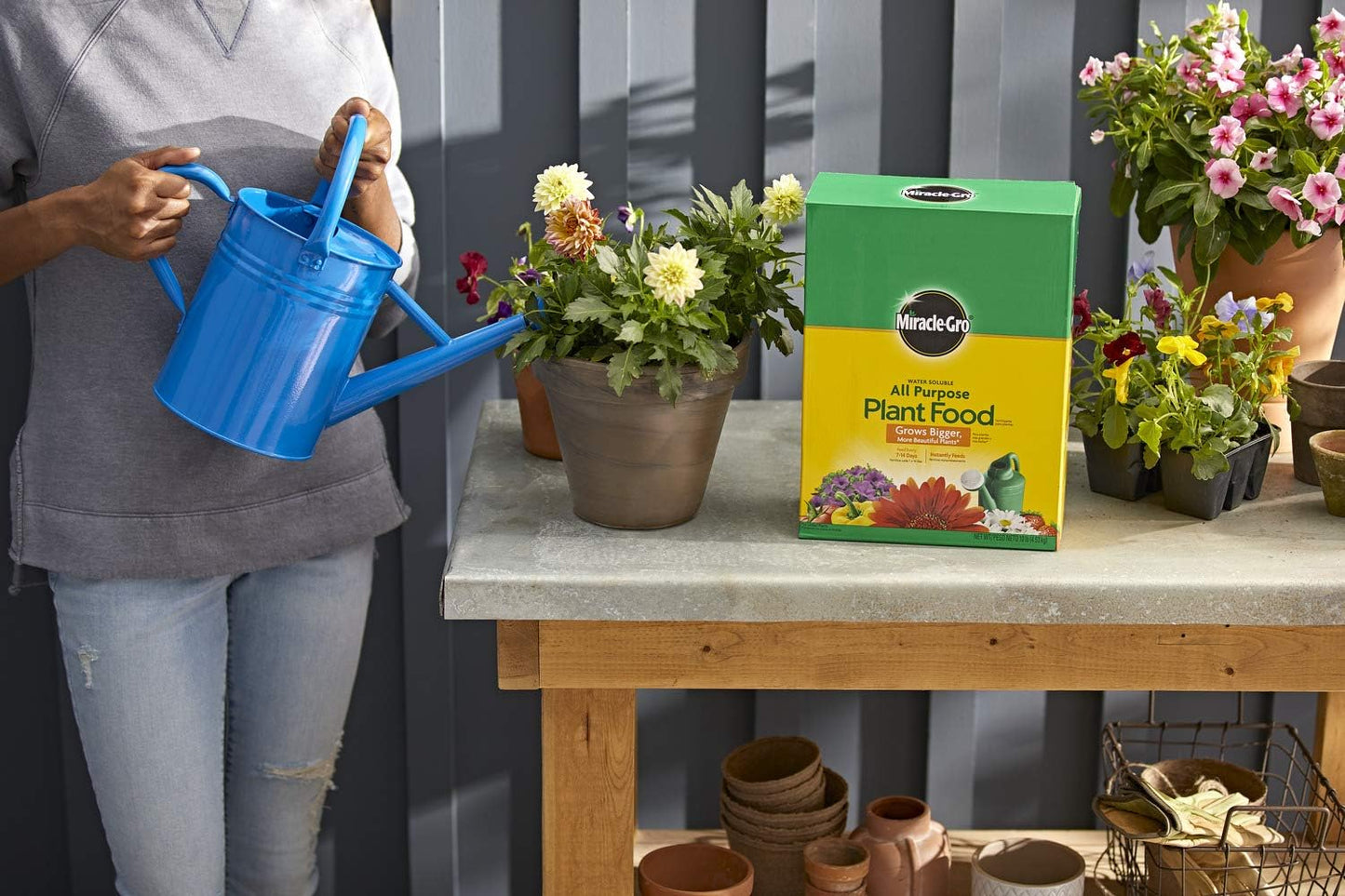 Miracle-Gro Water Soluble Plant Food - All-Purpose Fertilizer for Indoor & Outdoor Plants, 10 lbs (4-Pack)