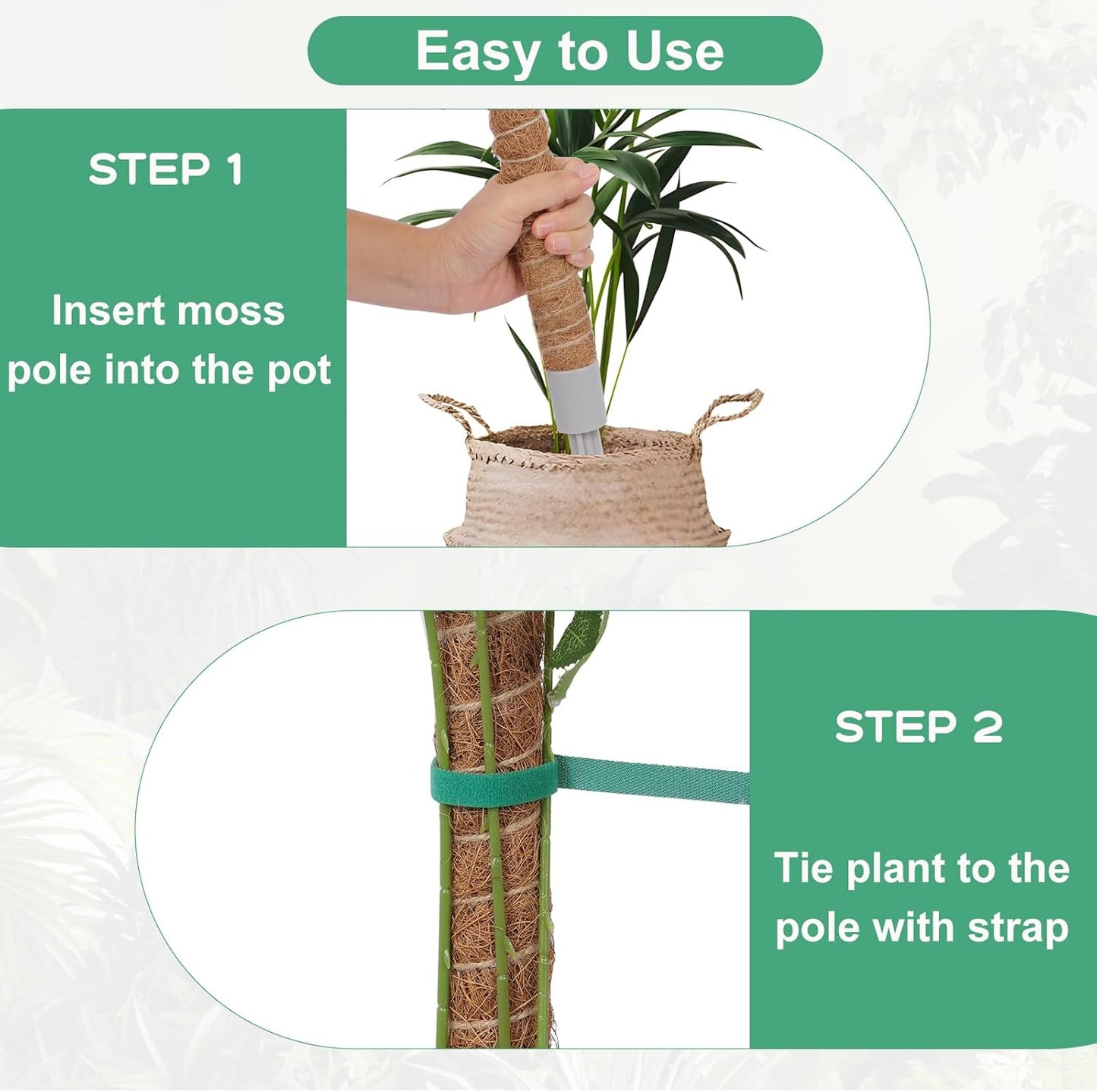 Moss Pole 3-Pack by [Brand Name] - 50 Inch Tall Support for Monstera & Climbing Plants | Coco Coir Stake Kit