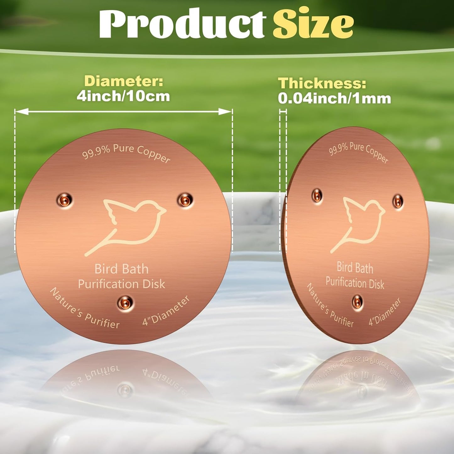 Skiennix Bird Bath Copper Disk - 1mm Thick Reinforced 99.99% Pure Copper | Durable Outdoor Accessory