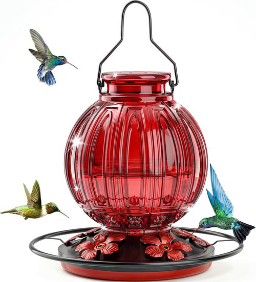 Glass Hummingbird Feeder - 24Oz Outdoor Nectar Feeder with Perch & 5 Flower Ports | Leak-Proof Garden Decor