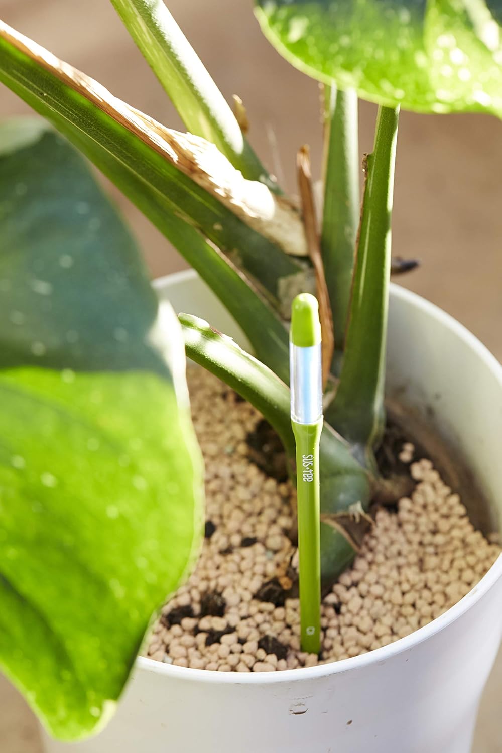 Sustee Aquameter | Set of 5 Plant Soil Moisture Sensors - Small Green Design for Optimal Care