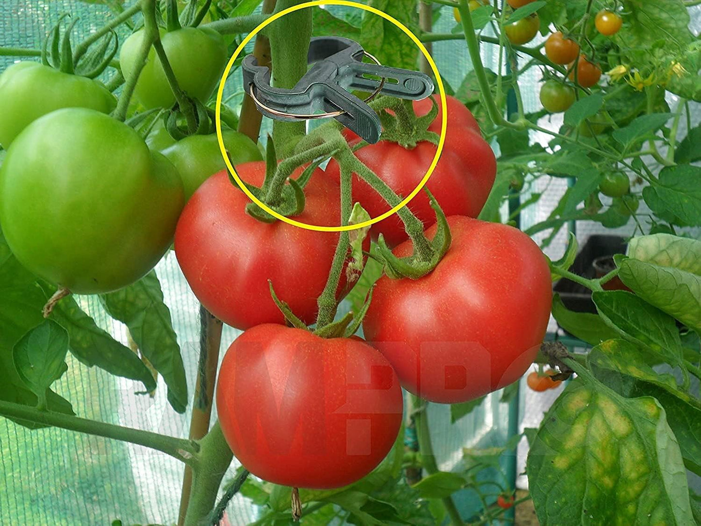 RamPro Plant Clips - 40 Piece Green Gardening Tool for Supporting Stems & Vines