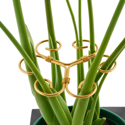 Monstera Plant Support Stakes - 4PCS Iron Design for Indoor Plants | Stable Growth & Turtle Shell Clamp