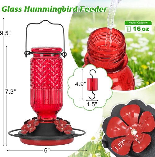 FEED GARDEN Glass Hummingbird Feeder - 16oz Outdoor Bird Feeder with Ant Moat & 4 Bee-Proof Ports