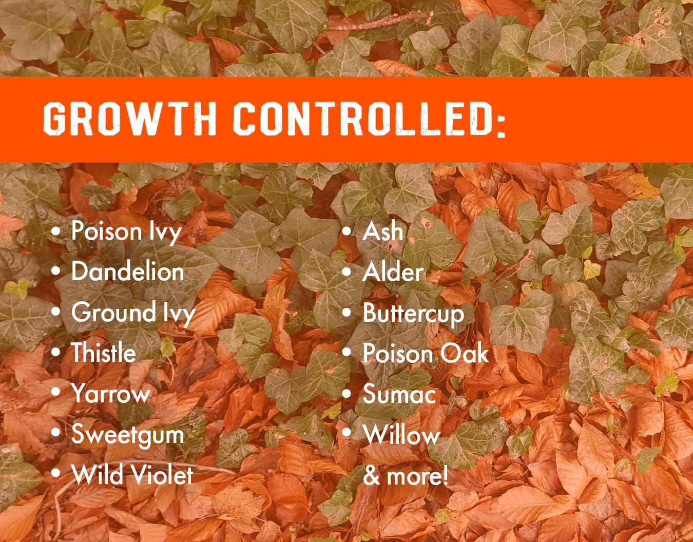 Pro Brush Poison Ivy Killer - 32oz Concentrated Herbicide for Woody Plants & Tough Weeds
