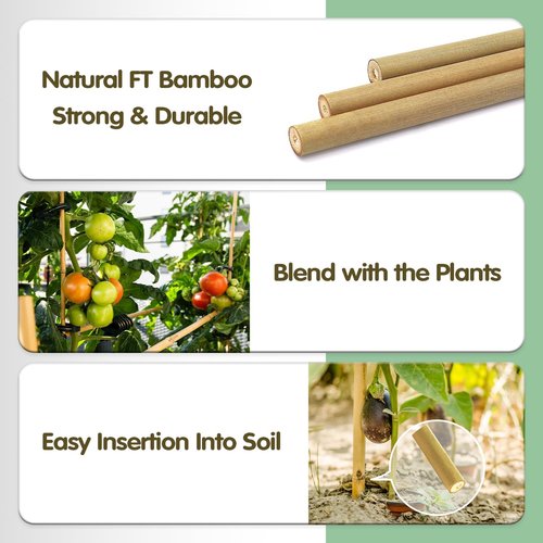 BOVITRO Bamboo Garden Stakes - 3FT Natural Plant Support for Tomatoes, Beans & Climbing Plants | 25 Pcs