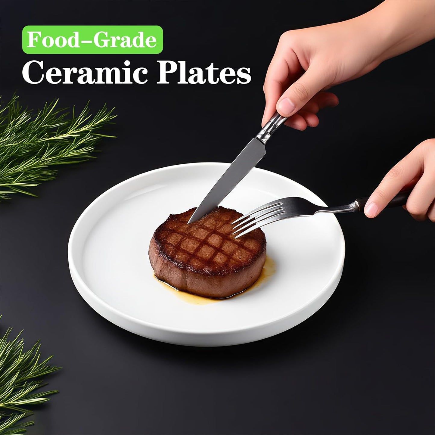 Regine Switzerland White Dinner Plates Set of 6 - 8 Inch Porcelain Dessert Plates | Microwave & Dishwasher Safe