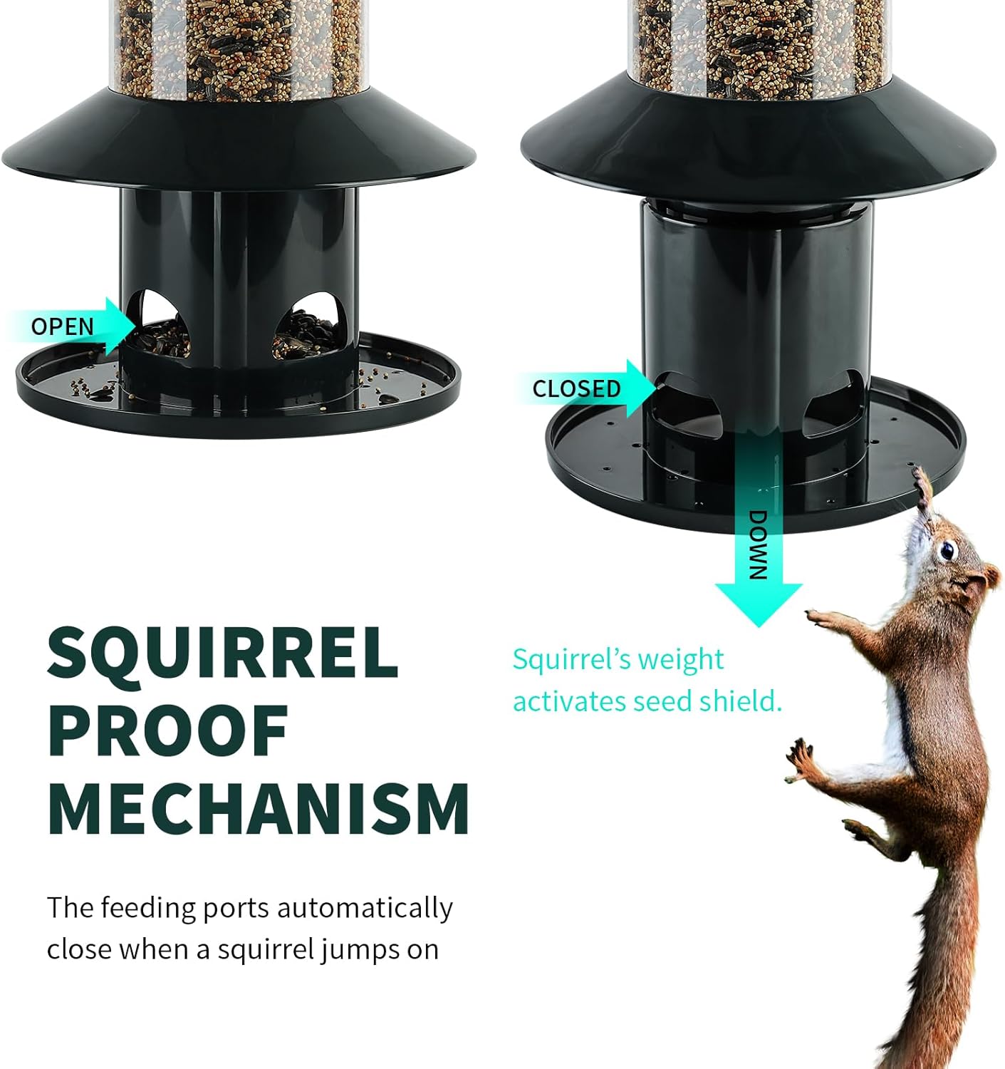 Regine Switzerland Squirrel Proof Bird Feeder - 360° Feeding Perch Tray for Outdoor Use, Dark Green