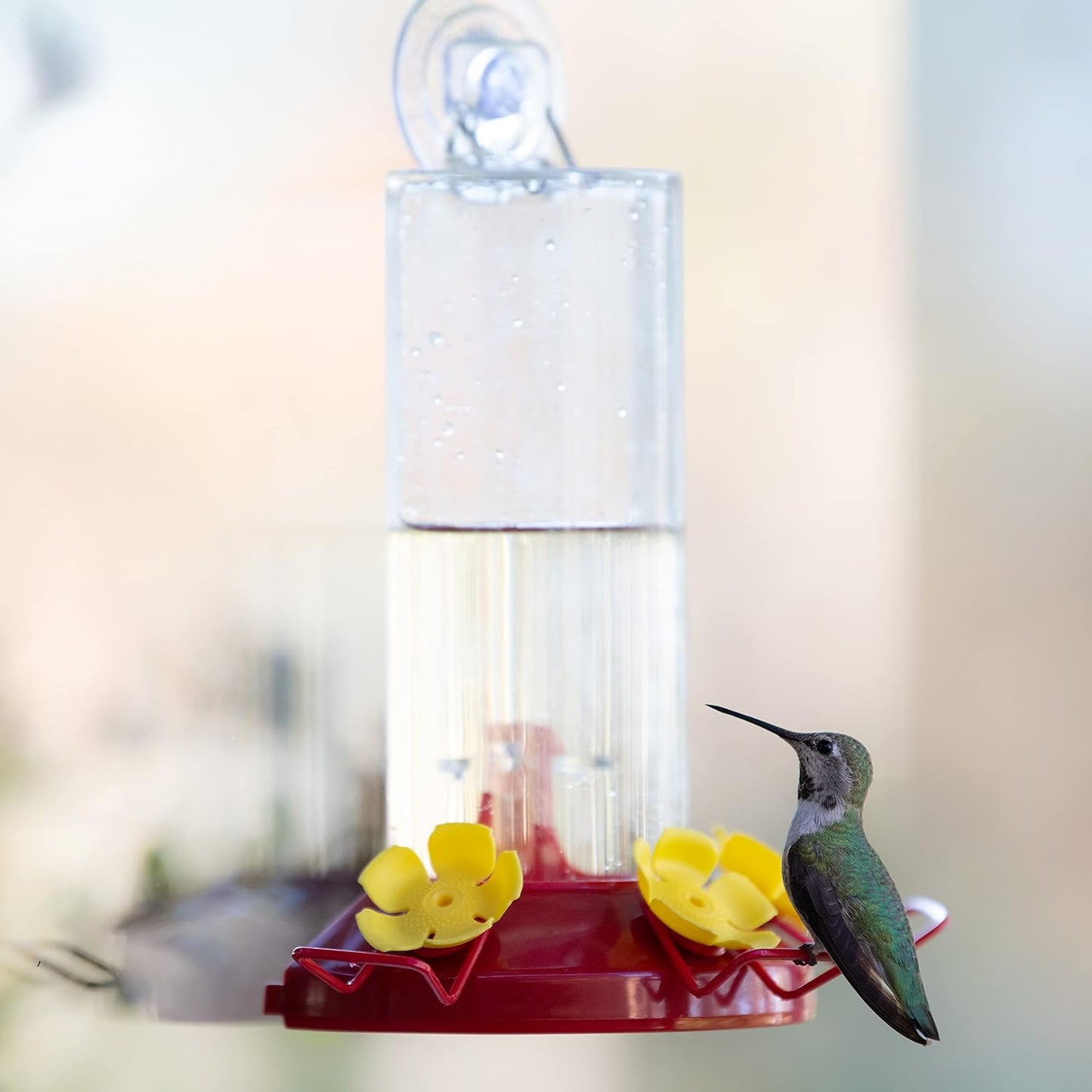 Perky-Pet Hummingbird Feeder - 8 oz Plastic Window Mount with Perches for Outdoor Use