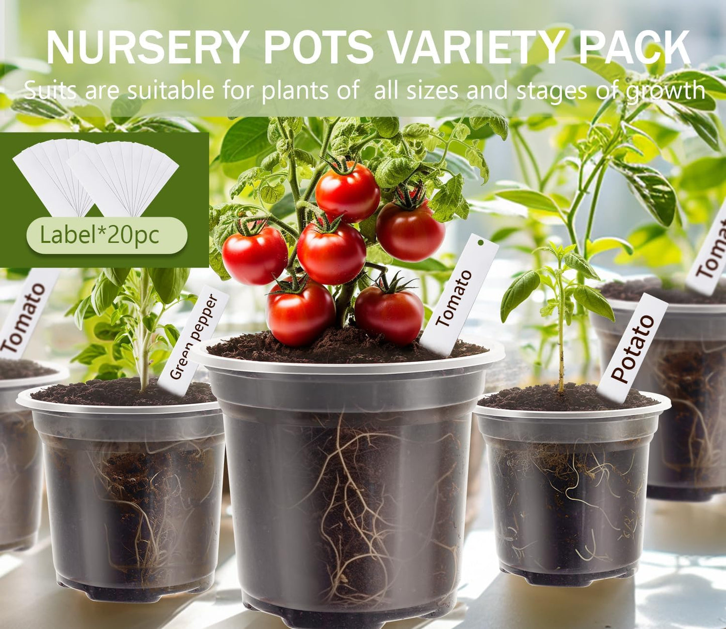 Skiennix Clear Nursery Pots - 30 Pack Plastic Seedling Pots with Drainage Holes | 3.5/4/5 Inch