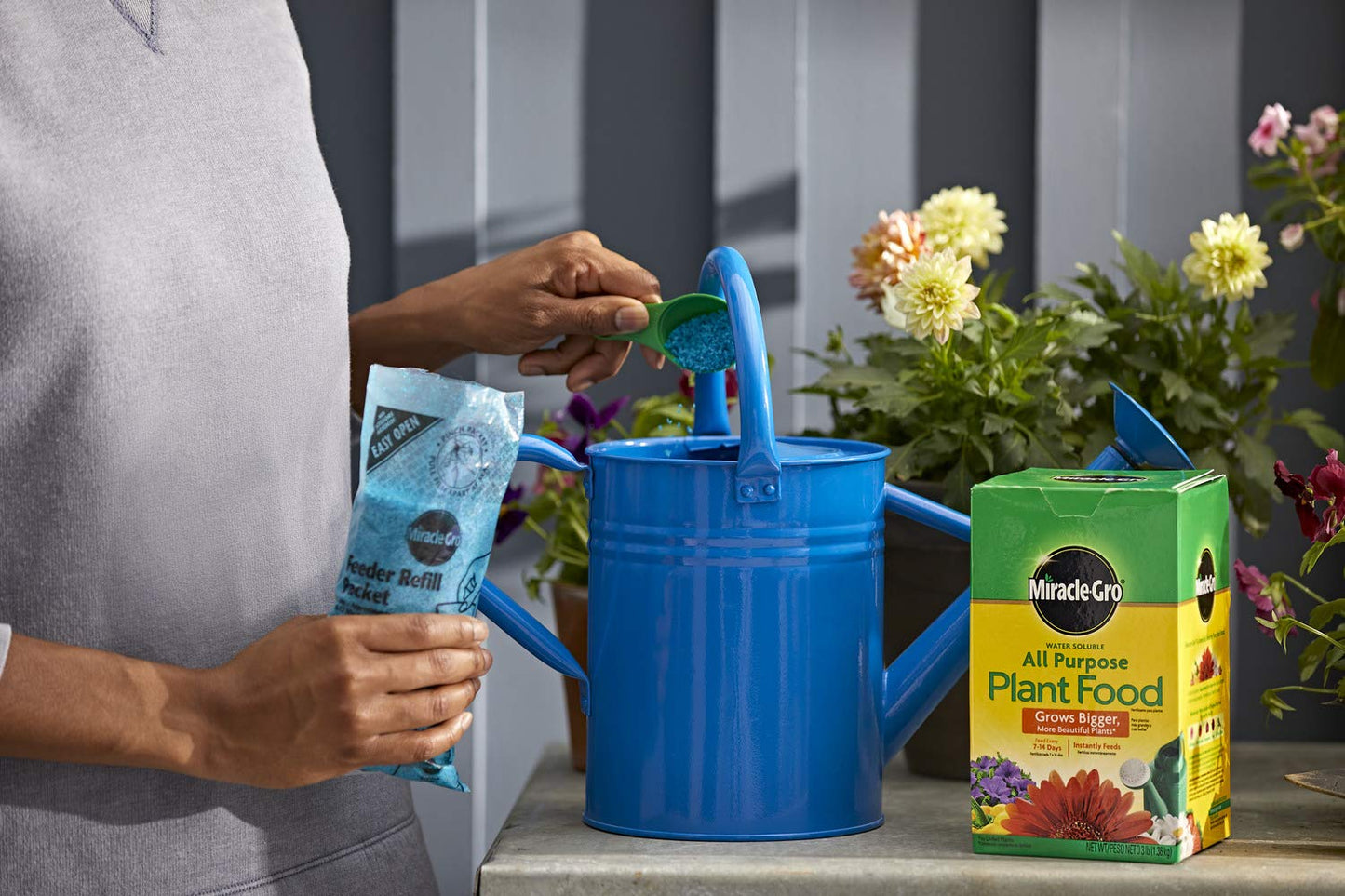 Miracle-Gro All Purpose Plant Food - Premium Fertilizer for Thriving Plants | 3 lb (6 Pack)
