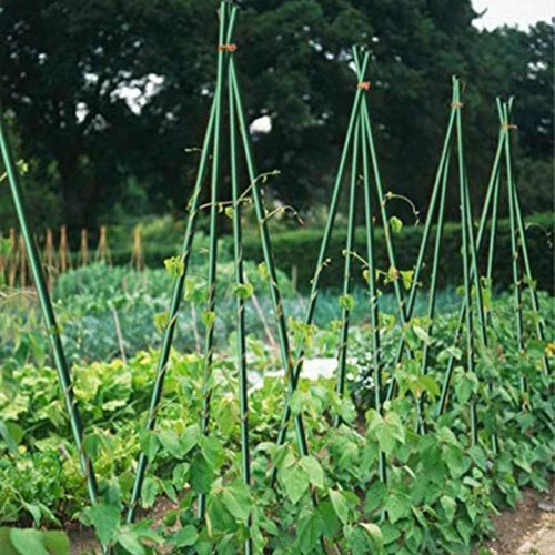Growsun 4ft Metal Garden Stakes - Durable Plastic Coated Plant Supports for Tomatoes & Climbing Plants | 25 Pack
