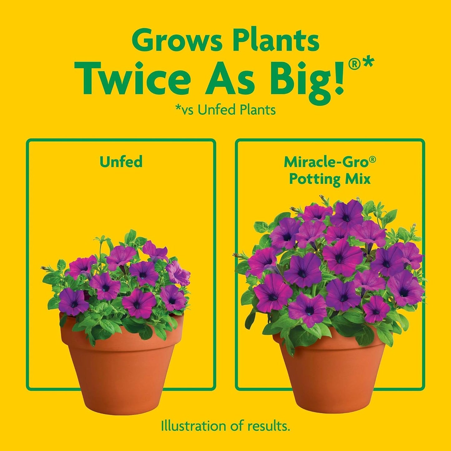 Miracle-Gro Potting Mix - Nutrient-Rich Soil for Container Plants & Flowers | 8 Qt (2-Pack)