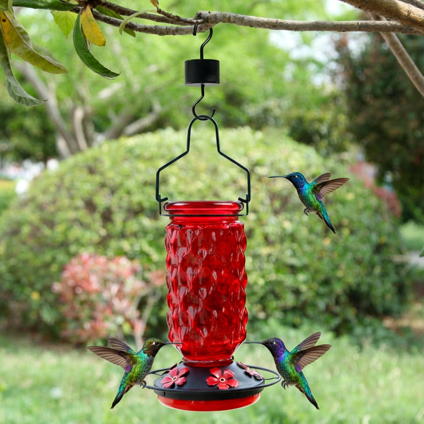 Skiennix Glass Hummingbird Feeder - 25 Oz Red Nectar Feeder with 5 Feeding Ports & Ant Moat | Ideal Garden Gift