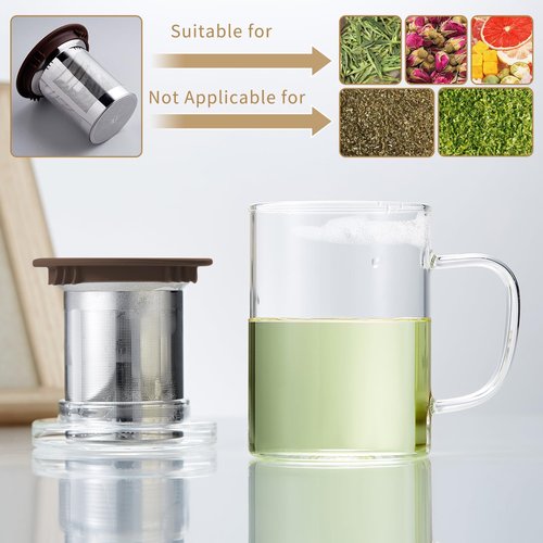 Glass Tea Cup with Infuser and Lid, 400ml Large Borosilicate Teacup, Clear Mug for Loose Leaf Tea, Blooming Tea, Tea Bags - Perfect Christmas or Birthday Gift for Women
