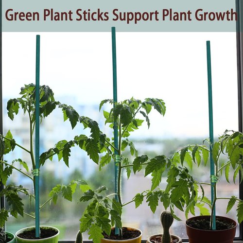 GAGINANG 50 Pcs Plant Stakes - Sturdy Bamboo Support for Indoor/Outdoor Plants | 18 Inches