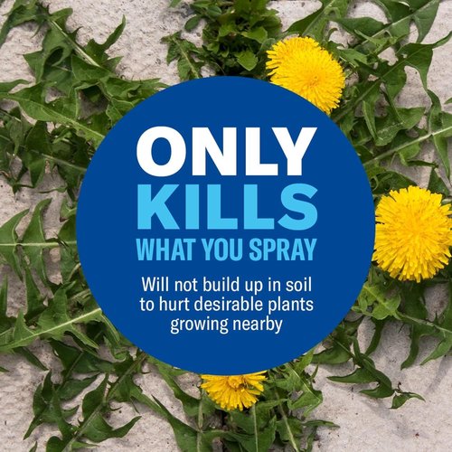 BioAdvanced Weed & Grass Killer Spray - Super Concentrate 64 fl oz | Fast Results in 3 Hours, Rainproof in 10 Minutes