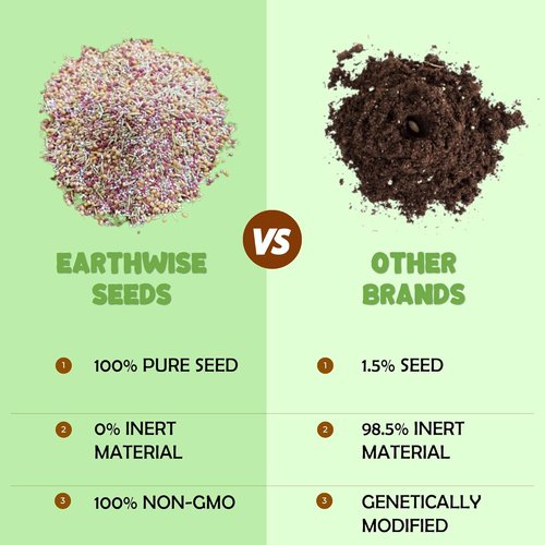 Earthwise Wildflower Seed Mix - Organic, Pollinator-Friendly Blend for Season-Long Color | Covers 500 sq ft, 1/4 lb