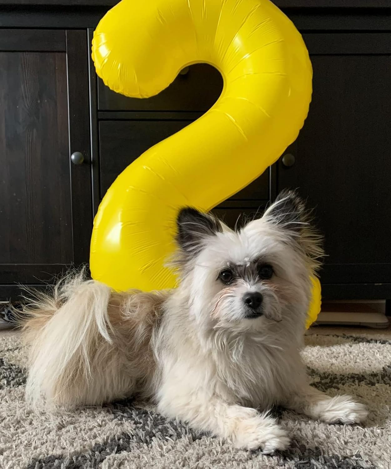 Skiennix 40-Inch Yellow Number Balloons - Perfect for 2nd, 12th, 21st Birthday Parties & Celebrations