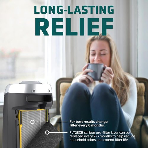 Germ Guardian True HEPA Replacement Filter C - Compatible with AC5000E, AC5250PT, AC5300B & More