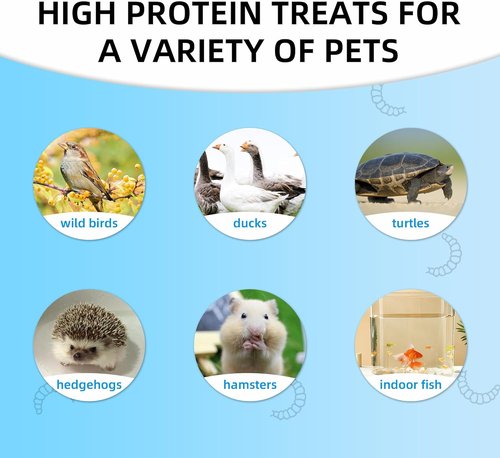 I LOVE WORMS Dried Black Soldier Fly Larvae - 100% Natural Non-GMO Chicken Treat (5lb)