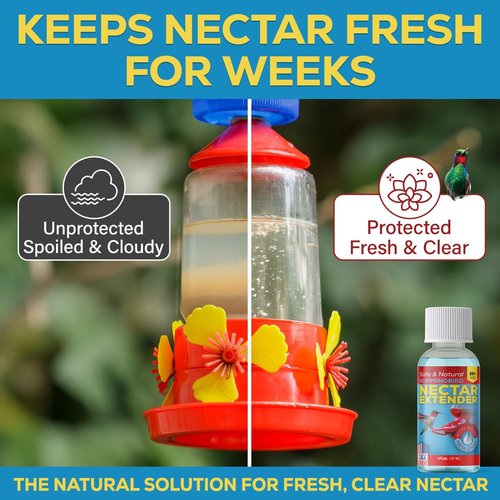 Escentile Hummingbird Nectar Extender - Freshens Nectar for 2+ Weeks | Safe, Natural Formula - 1oz