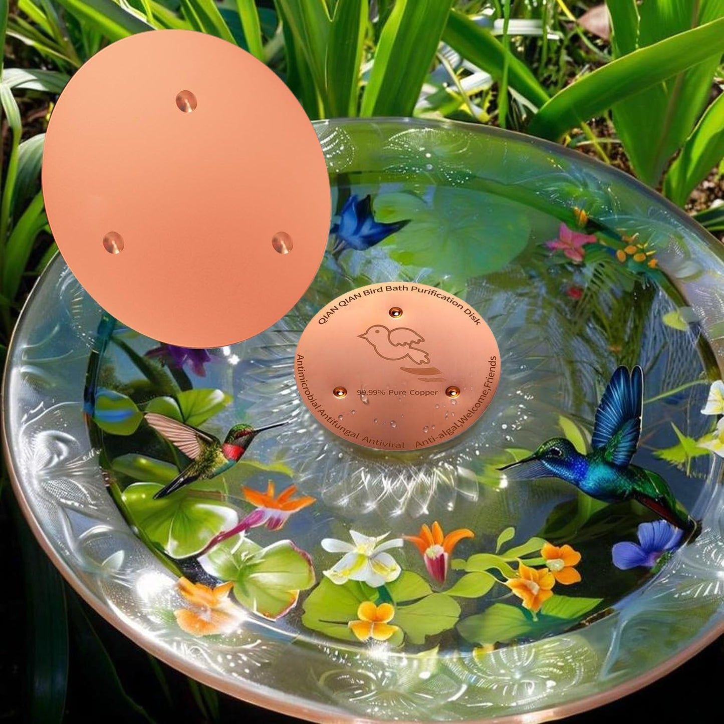 Skiennix Copper Bird Bath Purification Disk - Triple-Point Support for Clean Water | Universal Fit