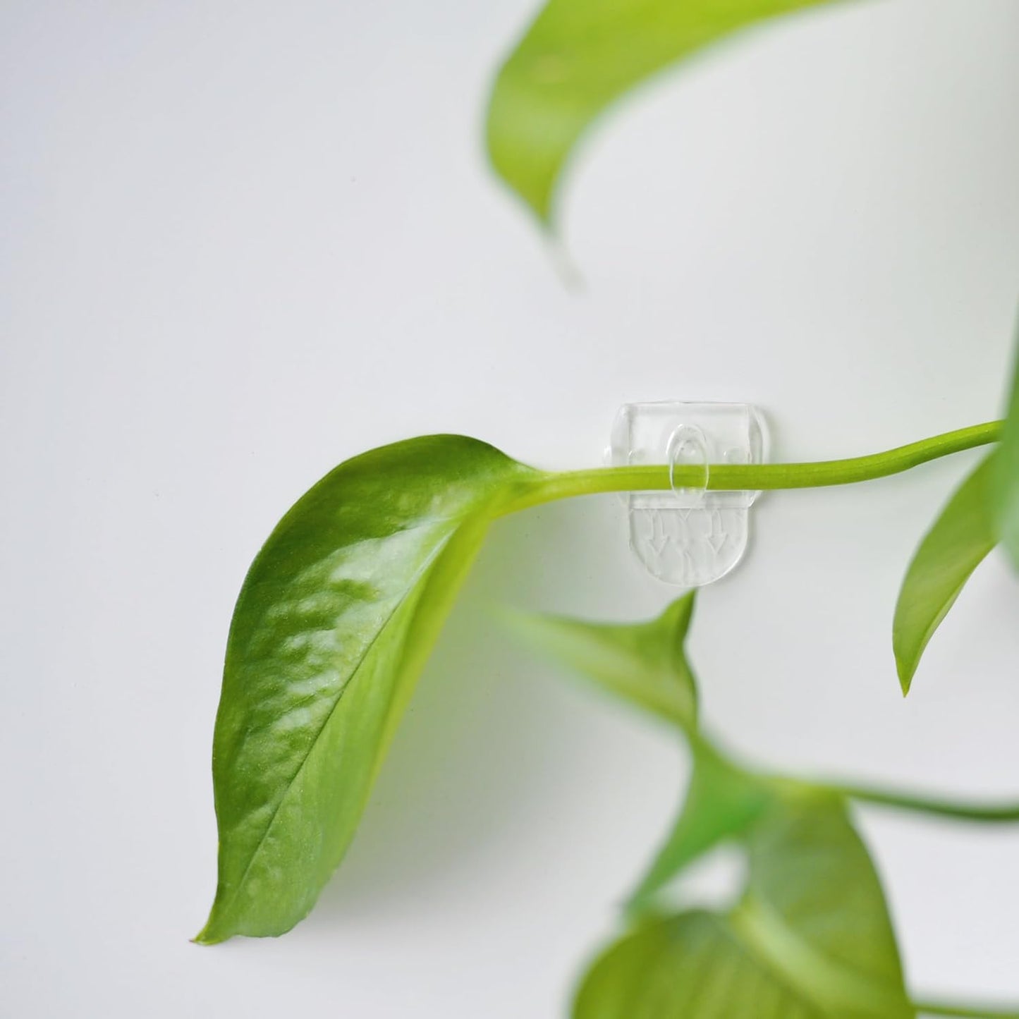 MOVELYST Mini Clear Light Clips - 100 Damage-Free Indoor Wall Hooks with 120 Adhesive Strips for Easy Hanging
