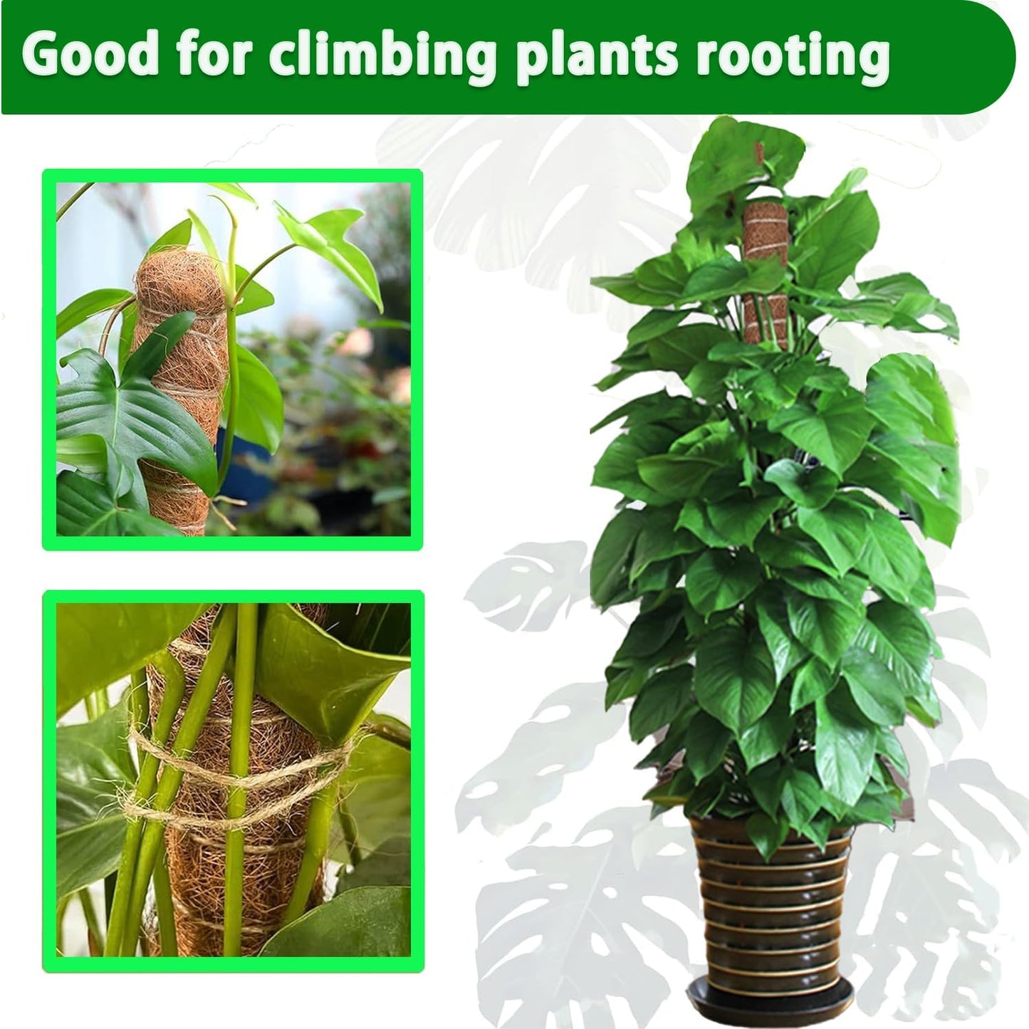 Moss Pole 4-Pack | 17-Inch Monstera Plant Support - Stackable Coir Stakes for Indoor Climbing Plants