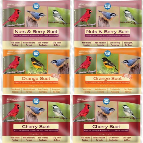 Blue Seal Berry Blend Suet Cakes for Wild Birds - No Mess Feed for Woodpeckers & Cardinals - 11oz Variety Pack of 6