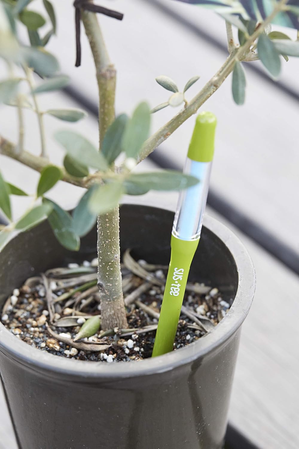 Sustee Aquameter | Set of 5 Plant Soil Moisture Sensors - Small Green Design for Optimal Care