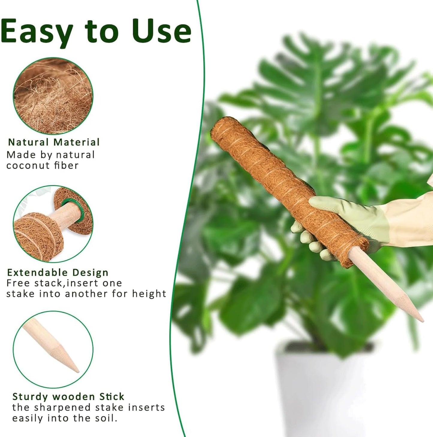 Moss Pole | 21-Inch Plant Support Stakes - 2-Pack for Monstera, Pothos & Philodendron