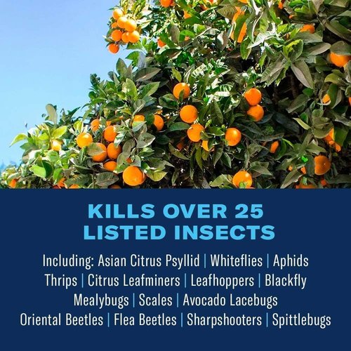 BioAdvanced Fruit & Citrus Tree Insect Control - 32 oz Pest Control Concentrate for 9 Trees