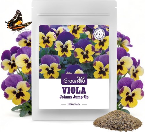 Groundio Johnny Jump Up Seeds - 10,000+ Non-GMO Perennial Wild Violet Seeds | Edible Flowers, Attracts Pollinators
