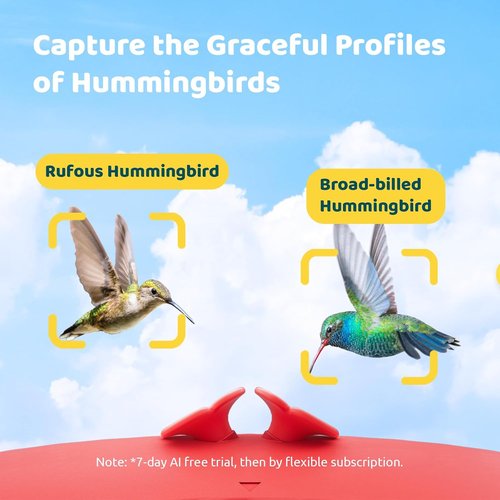 Birdfy Smart Hummingbird Feeder - Solar Powered With Camera, Live View & Auto Record, 14oz, Perfect Gift for Bird Lovers